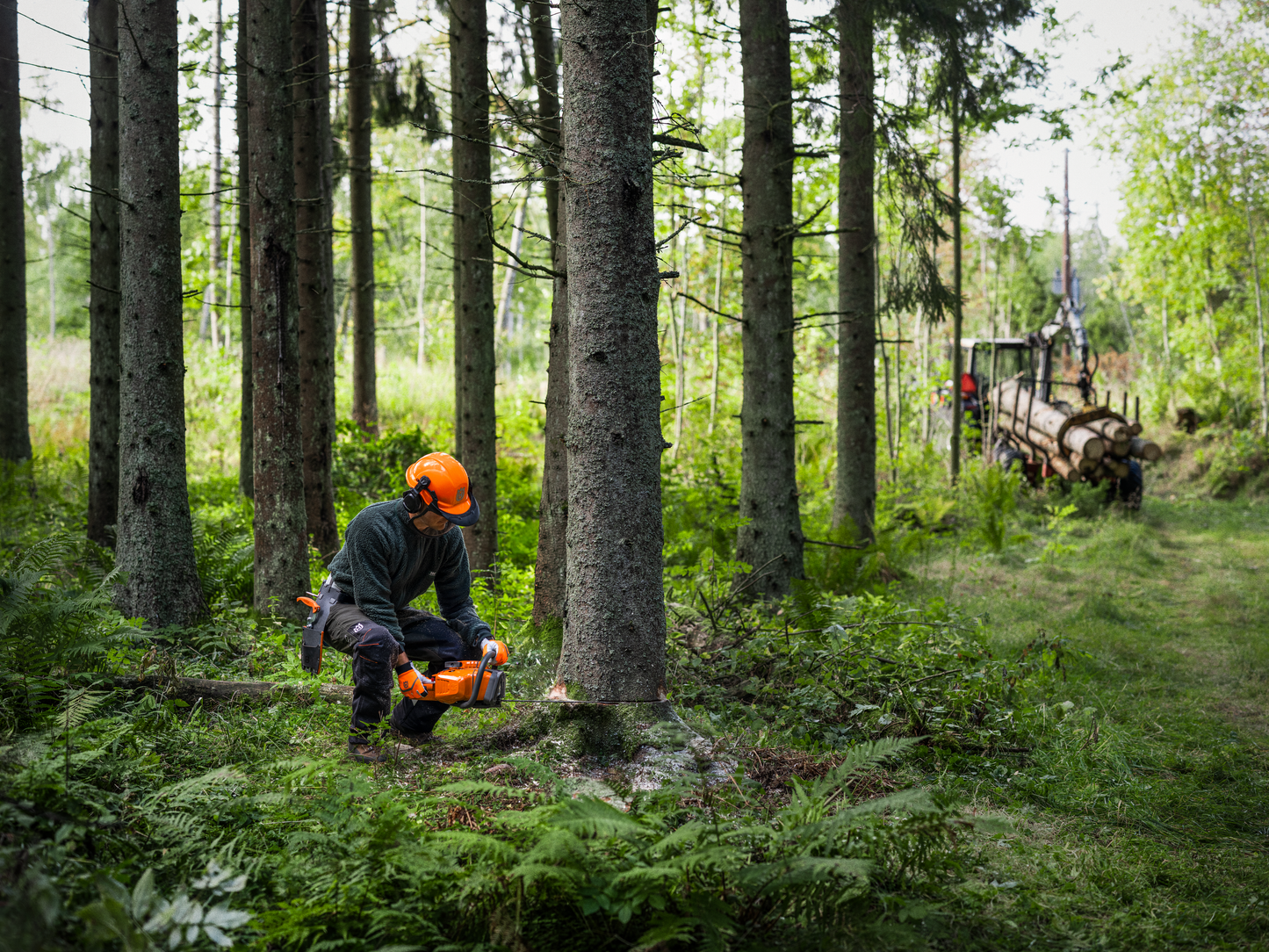 Motosega Husqvarna 450X
